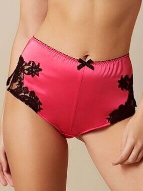 Agent Provocateur NAYELI Knicker NWT Pink & Black Silk! [D]